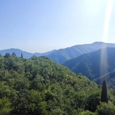 Il Verso Del Gufo San Quirico d'Assereto